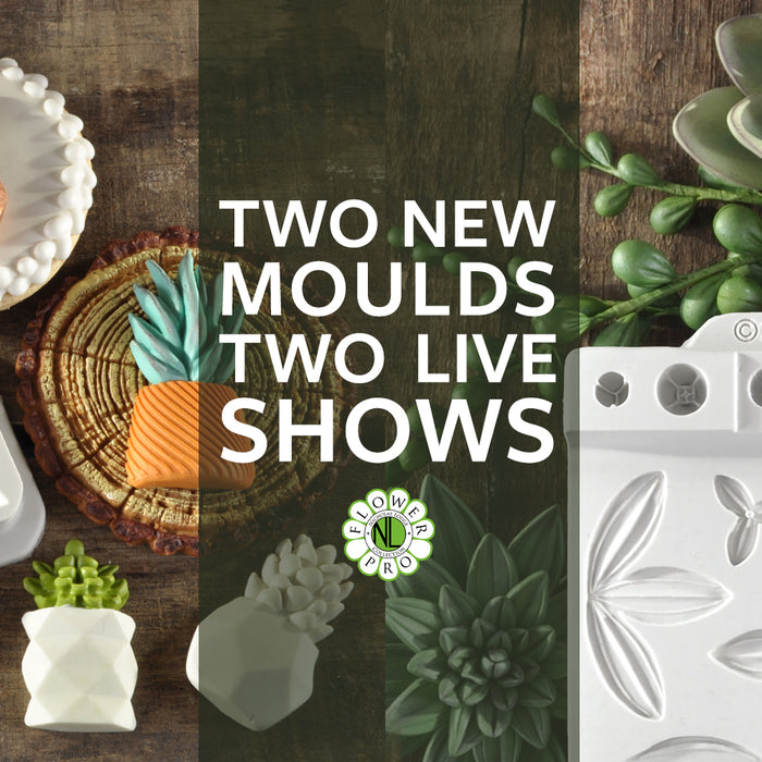 Succulents Moulds Launch Show