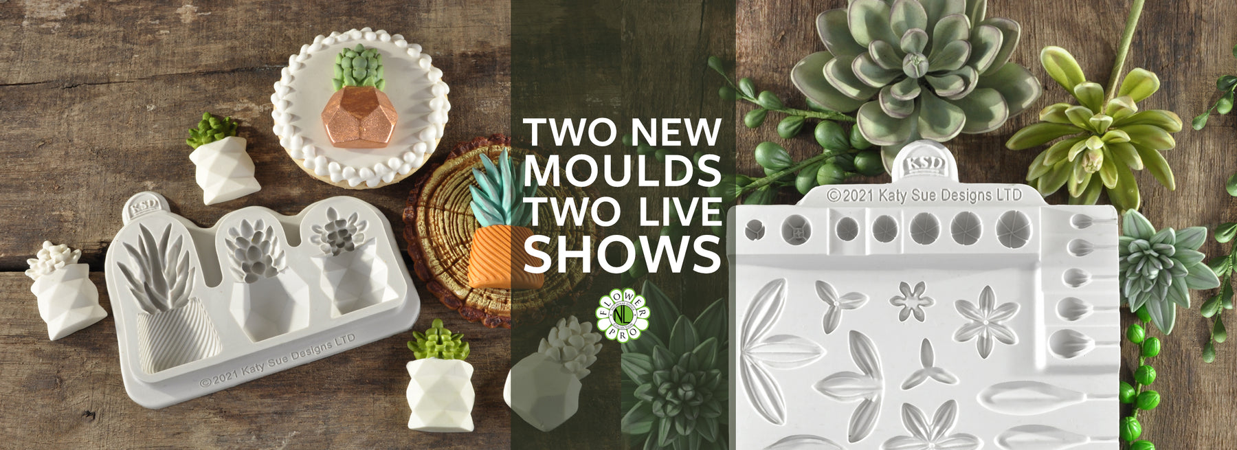 Succulents Moulds Launch Show