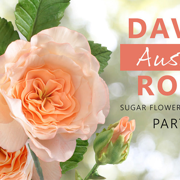 Make A David Austin Rose For Cakes Part 1