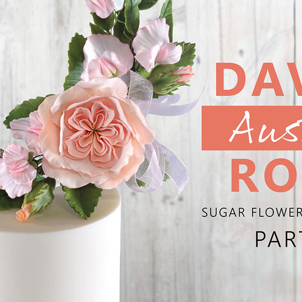 89 David Austin Rose Part 2