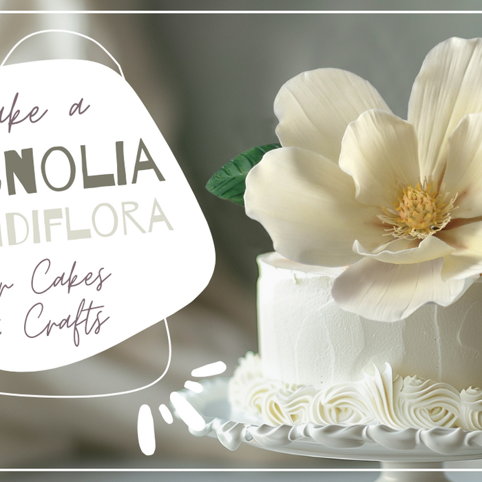 Magnolia Grandiflora For Cakes and Crafts Part 1