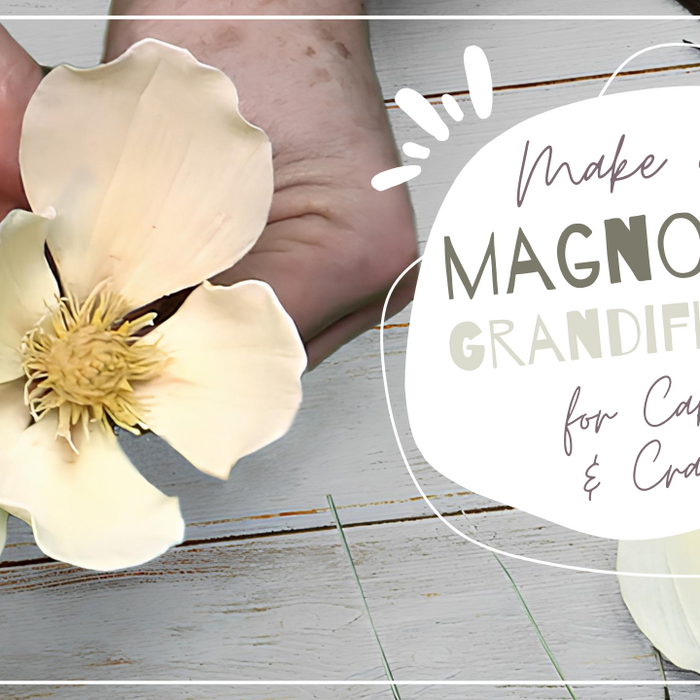 Magnolia Grandiflora For Cakes and Crafts Part 2