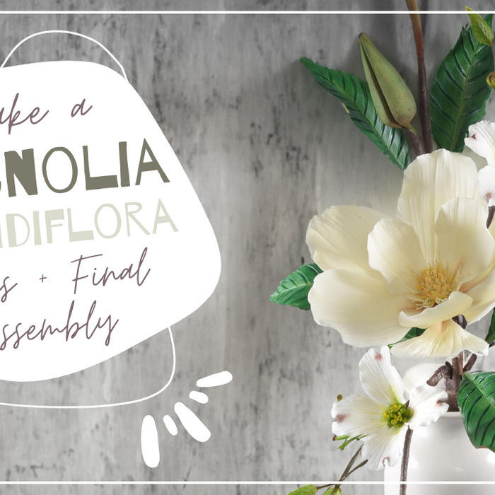 Magnolia Grandiflora For Cakes and Crafts Part 3