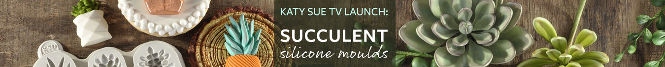 KSTV: Succulents Moulds Launch Show