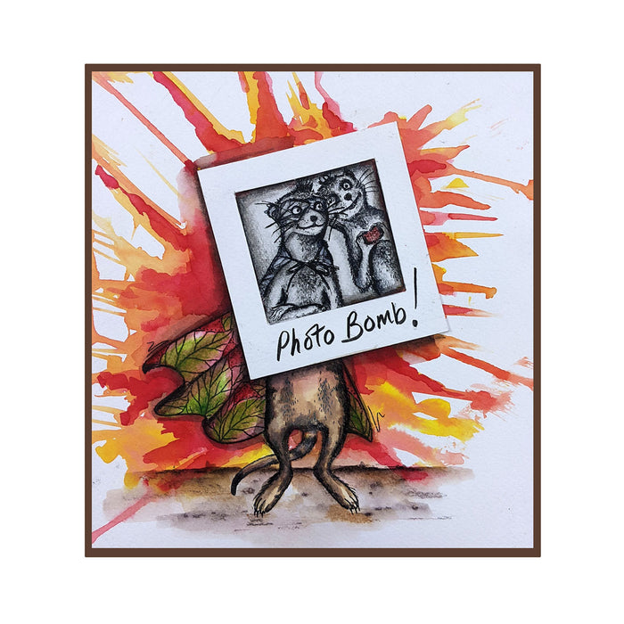 Pink Ink Designs - Super Hero - Meercat, A5 Clear Stamp Set