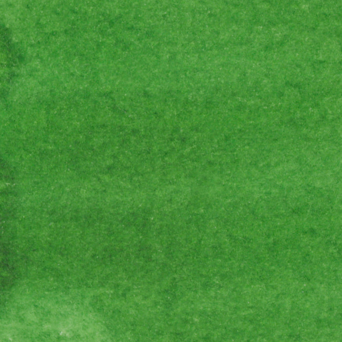 Cosmic Shimmer Forest Green Water-Based Ink 29ml