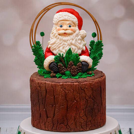 Flower Pro Pine Cones Silicone Mould