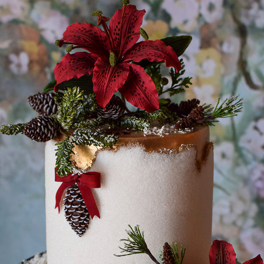 Flower Pro Pine Cones Silicone Mould