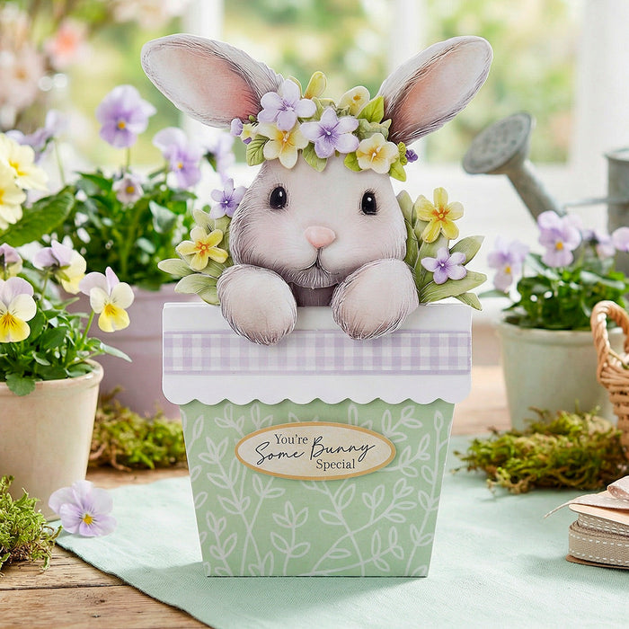 Bunny Tails & Flower Pots Card Making Kit