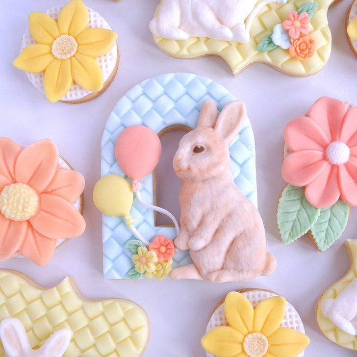 Balloons Silicone Mould