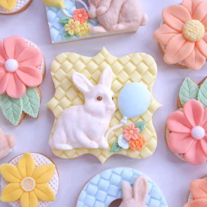 Balloons Silicone Mould