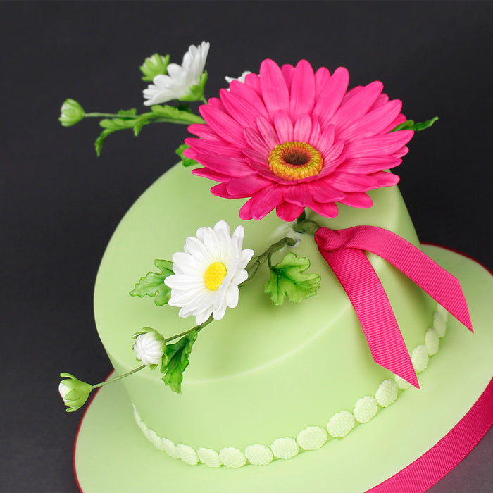 Flower Pro Ultimate Sunflower / Daisy Silicone Mould and Veiner