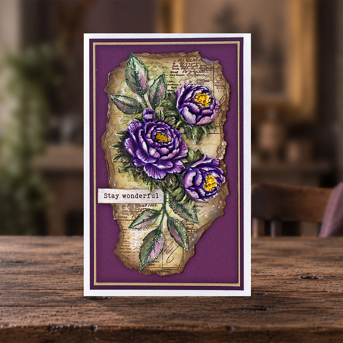 Cosmic Shimmer Past & Postal DL Stamp Set