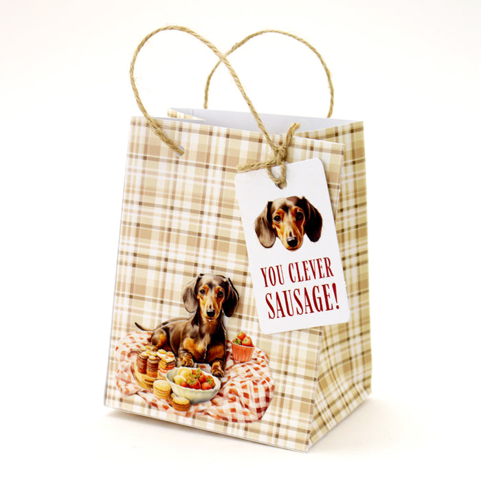 Example of a gift bag made using Picnic Pups Printed Cardstock