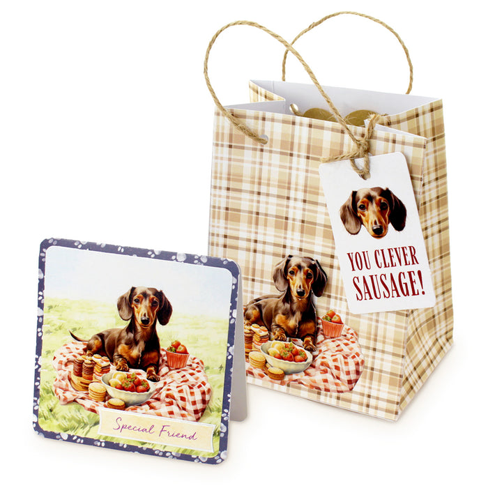Example of a gift bag using Picnic Pups Die Cut Sentiment Toppers