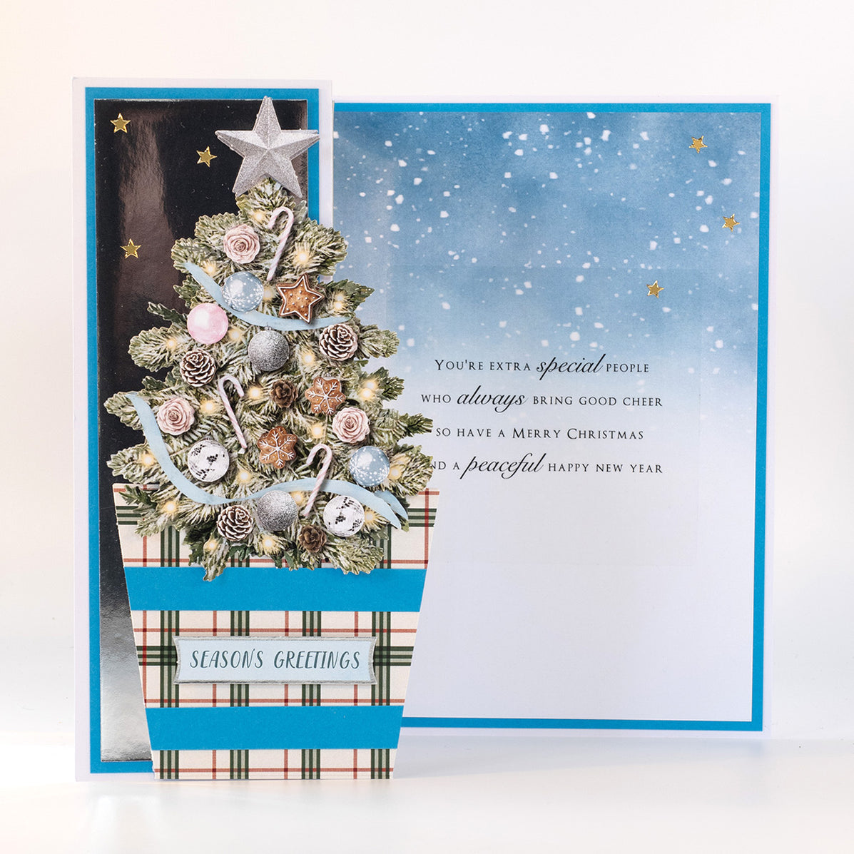 Christmas Flower Pots Card Making Kit Katy Sue Designs