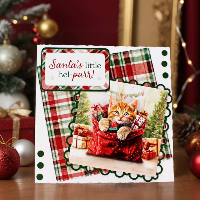Christmas Cats Complete Collection, 58 Sheets