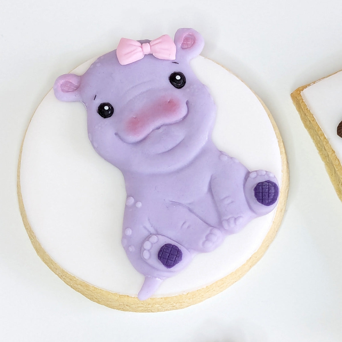 Sweet Safari Hippo Silicone Mould