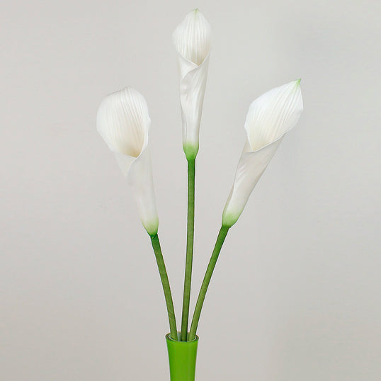 Flower Pro Calla Lily & Tulip Leaf Vein & Texture Set