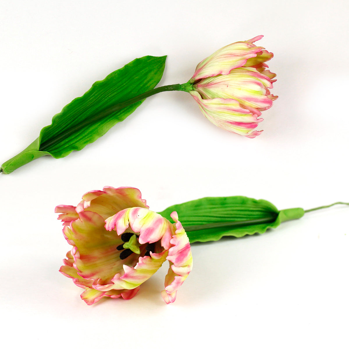 Flower Pro Calla Lily & Tulip Leaf Vein & Texture Set
