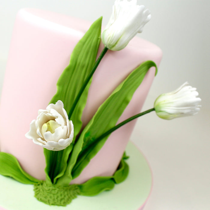 Flower Pro Calla Lily & Tulip Leaf Vein & Texture Set