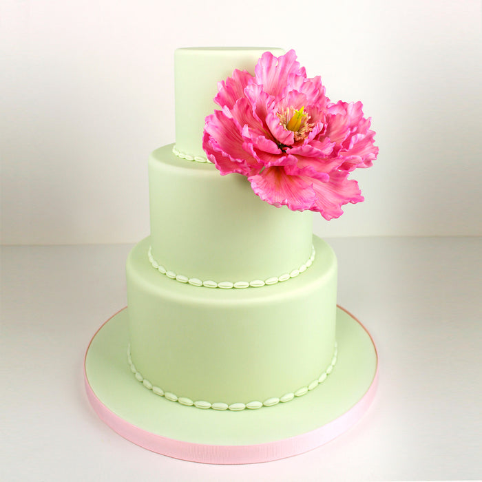 Flower Pro Peony & Tulip Silicone Mould & Veiner