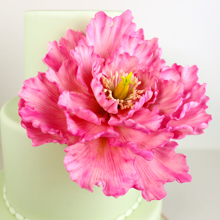 Flower Pro Peony & Tulip Silicone Mould & Veiner