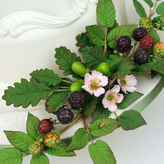 Flower Pro Blackberry & Oak Leaves Silicone Mould