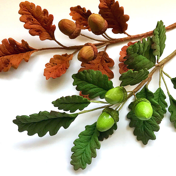 Flower Pro Blackberry & Oak Leaves Silicone Mould