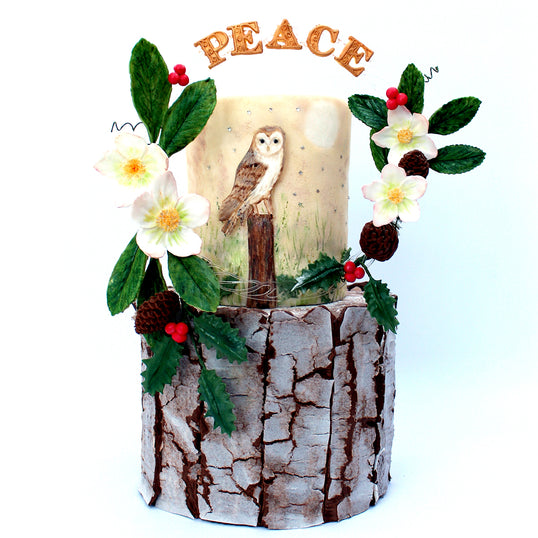 Flower Pro Pine Cones Silicone Mould