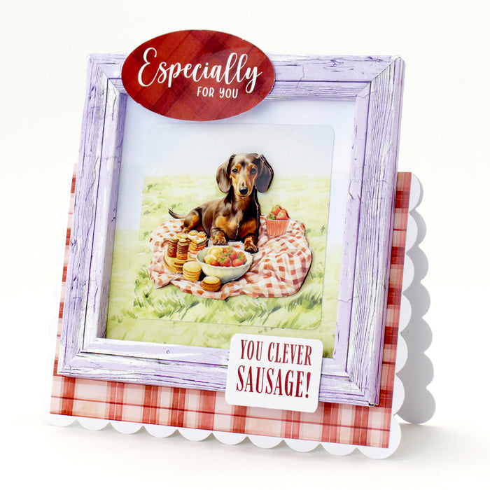 Picnic Pups Insert Papers, 24 Sheets
