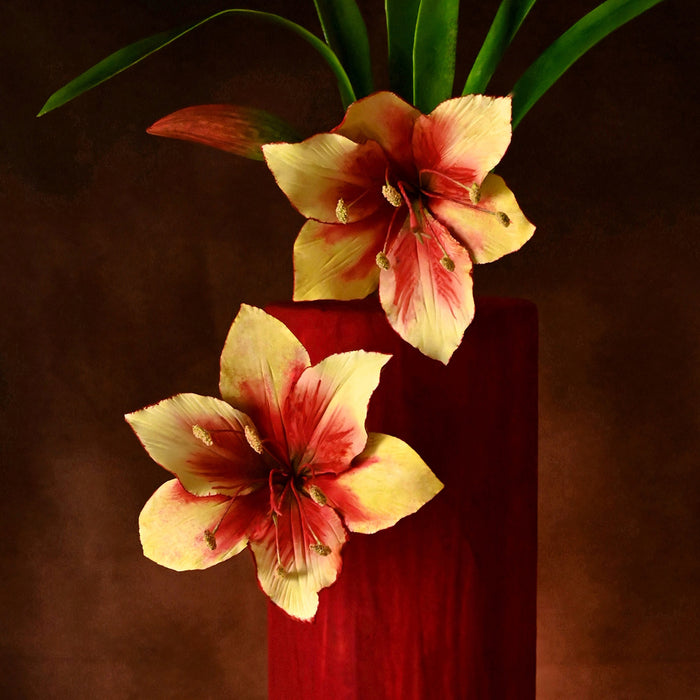 Flower Pro Lily Silikonform &amp; Veiner