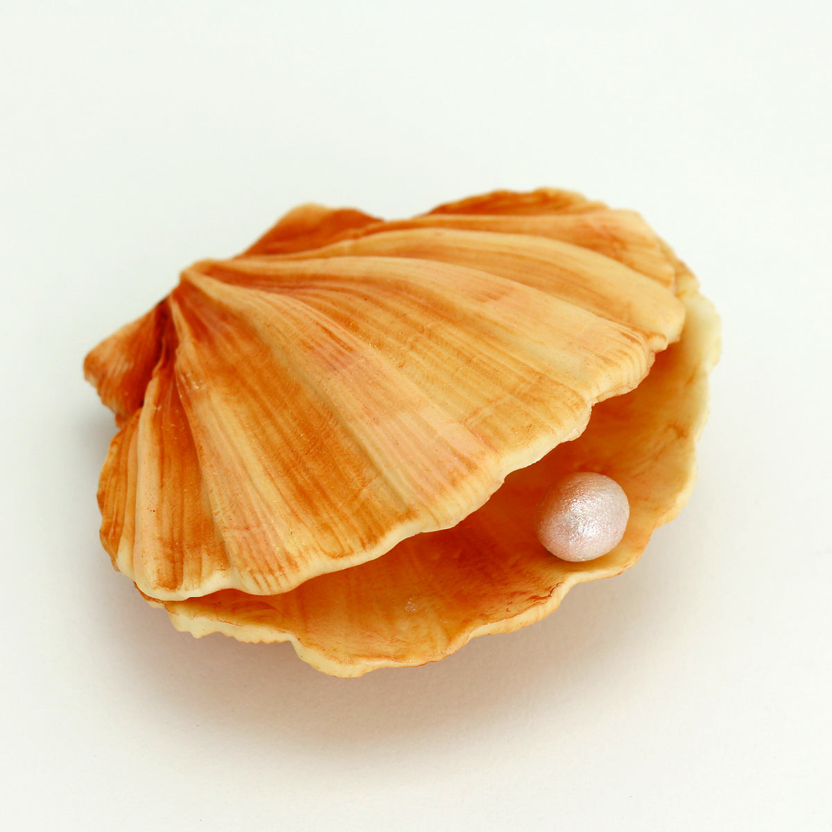 Clam Shell Silicone Mould