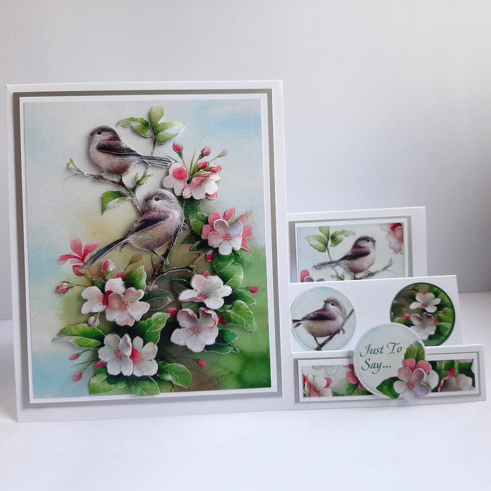 Die Cut Decoupage – Birds In Blossom (pack of 3)