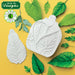 C&D - Flower Pro Sunflower / Daisy Leaves Mould and Veiner
