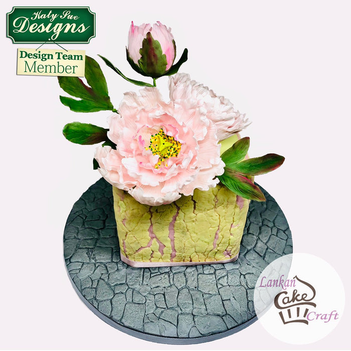 CD - Cake Idea using the Flower Pro Peony Leaves Mould