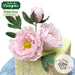 CD - Cake Idea using the Flower Pro Peony Leaves Mould