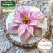 CD - Flower Pro Poinsettia Mould